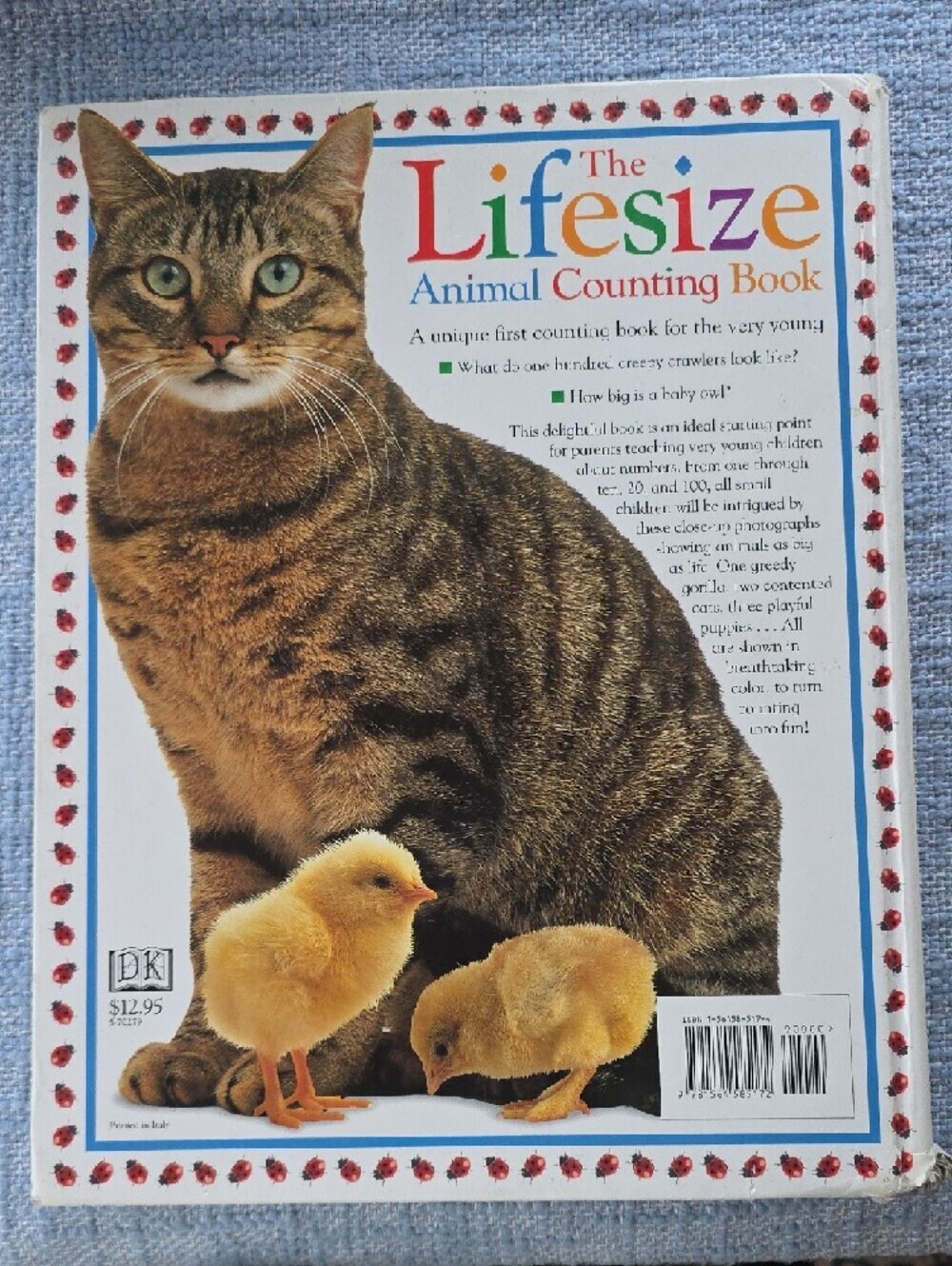 The Lifesize Animal Counting Book - White & Yellow Cover - Picture 2 of 3